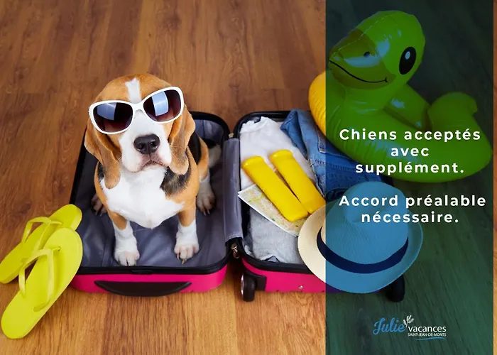 La Bigeonniere 1 Avec Piscine Proche Centre Apartamento *